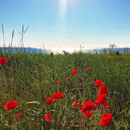 Strandresort Prora - Wg 114 Mit Meerblick Binz Luaran gambar